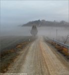 strade12-fog620.jpg