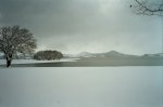 __8_0136.JPG