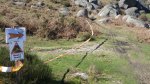 IMGP8692 (Copiar).JPG