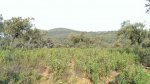 IMG-20140309-WA0004.jpg