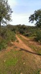 IMG-20140309-WA0008.jpg