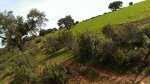IMG-20140309-WA0011.jpg