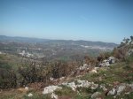 PICT0026.JPG