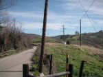 PICT0050.JPG