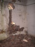 PICT0069.JPG