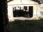 PICT0061.JPG