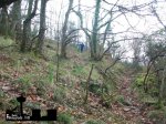 100_6309.JPG