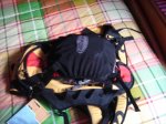 DSC00986.JPG