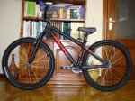 DSC04554.JPG