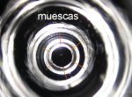 muescas.jpg