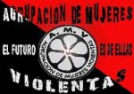 20061207102615-mujeres-violentas.jpg