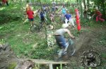 194_9460.jpg