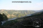 195_9524.jpg