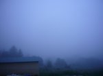 P1550533_redimensionar.JPG
