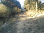 20140309_082818.jpg