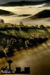 (0)4.cJPG.jpg