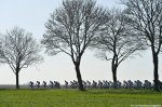 pn14st2_peloton.jpg