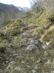 IMG-20140223-WA0012.jpg