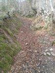 IMG-20140223-WA0016.jpg