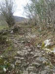 IMG-20140223-WA0018.jpg