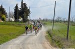 stradebianche9.jpg