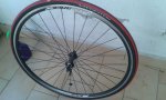 IMG-20140309-WA0000.jpg
