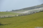 235-PIC440626981.jpg