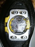 GEDC0110.JPG