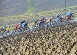 parisnice14st04-vines.jpg