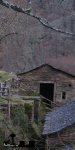 Sin título-4.jpg