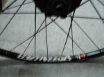 fins febrer 2012 055.JPG
