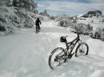 WP_000499.jpg