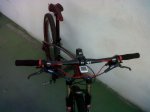 focus raven 020.jpg