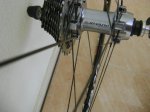 DSC01252.JPG