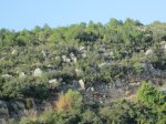 IMG_4891.JPG