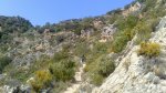 DSC_7860.jpg