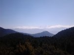 IMG_20140316_121321.jpg