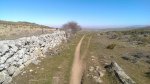2014-03-16 11.39.28.jpg