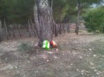 IMG00092-20140317-1927.jpg