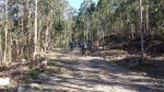 1920588_10201484576385582_1057175196_n.jpg