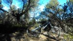 DSC_0188.jpg