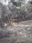 IMG_20140318_154824.jpg