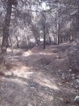 IMG_20140318_154917.jpg