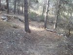IMG_20140318_155006.jpg