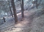 IMG_20140318_155047.jpg
