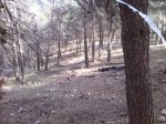 IMG_20140318_155719.jpg