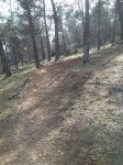 IMG_20140318_155913.jpg
