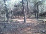 IMG_20140318_155957.jpg