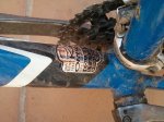 orbea2.jpg