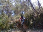 Imagen2843.jpg